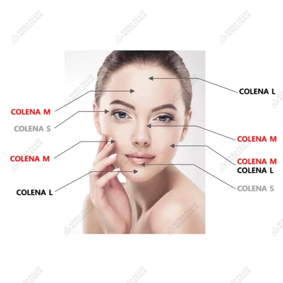 colena filler application areas