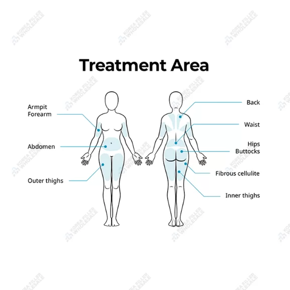 dr.lipo treatment areas