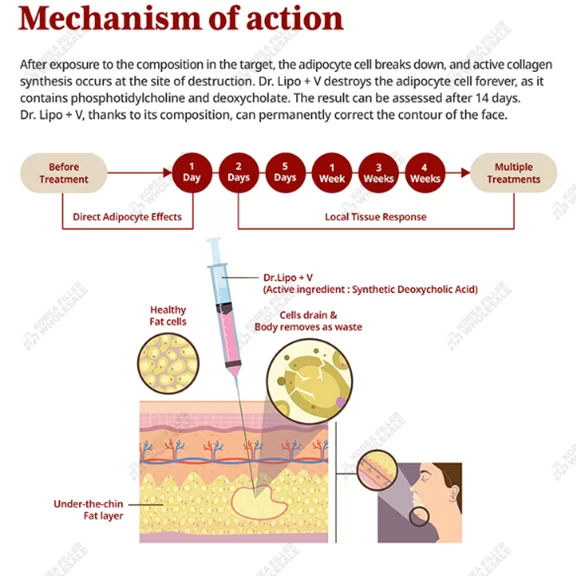 dr.lipo v line mechanism of action