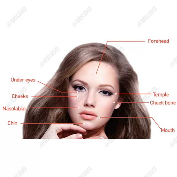 olidia 365mg plla filler application areas